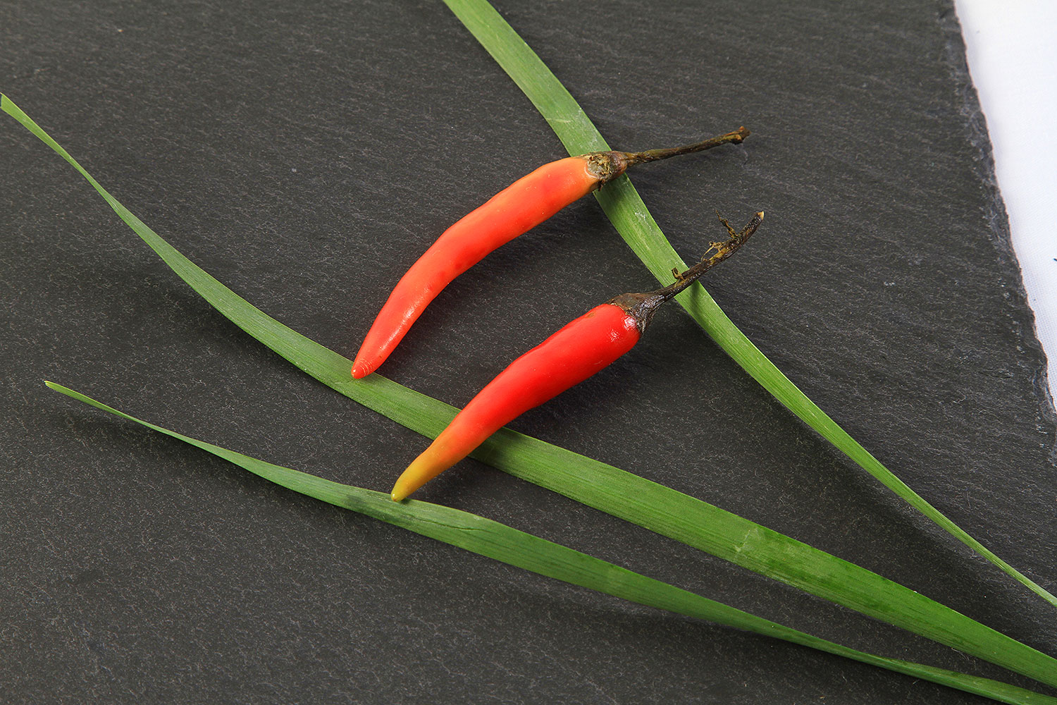 Reportage photo cuisine professionnelle - Milasio